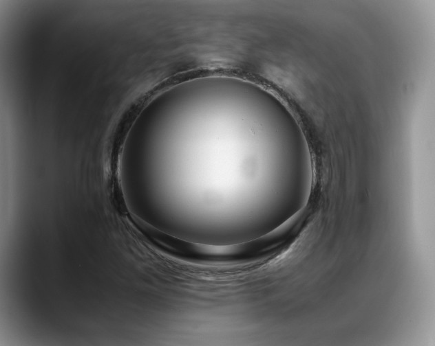 X0000088911261200706081335