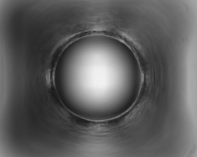X0000088911262200706081335