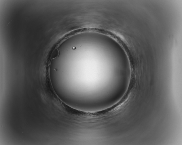 X0000088911263200706081335
