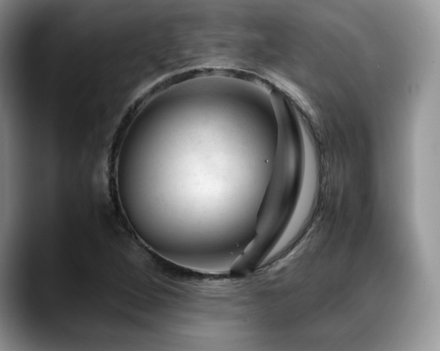X0000088911264200706081335
