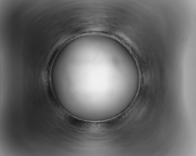 X0000088911266200706081335