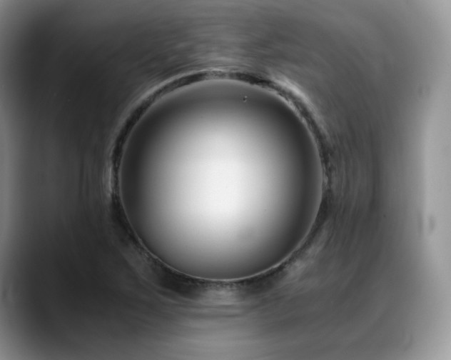 X0000088911267200706081335
