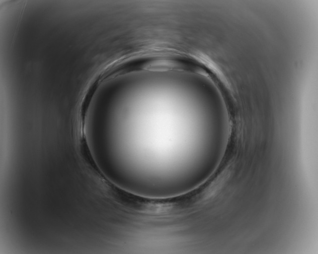 X0000088911269200706081335