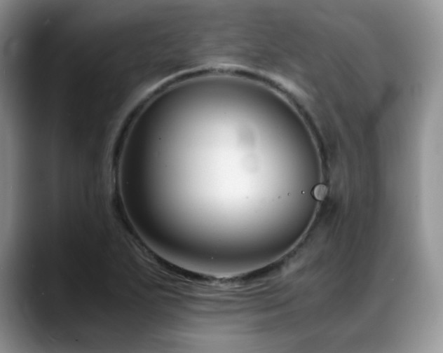 X0000088911271200706081335