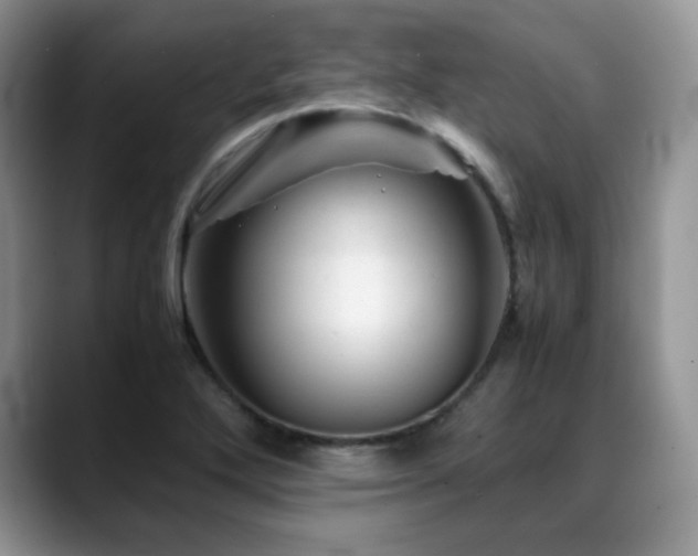 X0000088911272200706081335