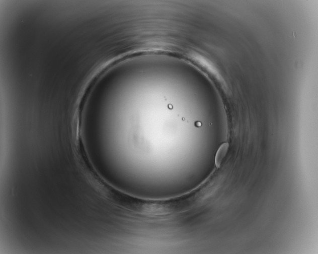 X0000088911275200706081335