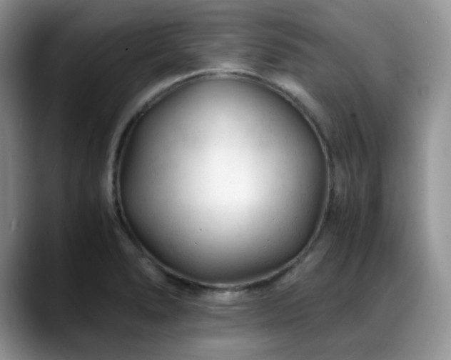 X0000088911278200706081335