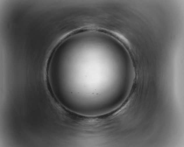 X0000088911279200706081335