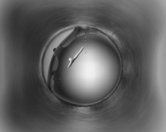 X0000088911280200706081335