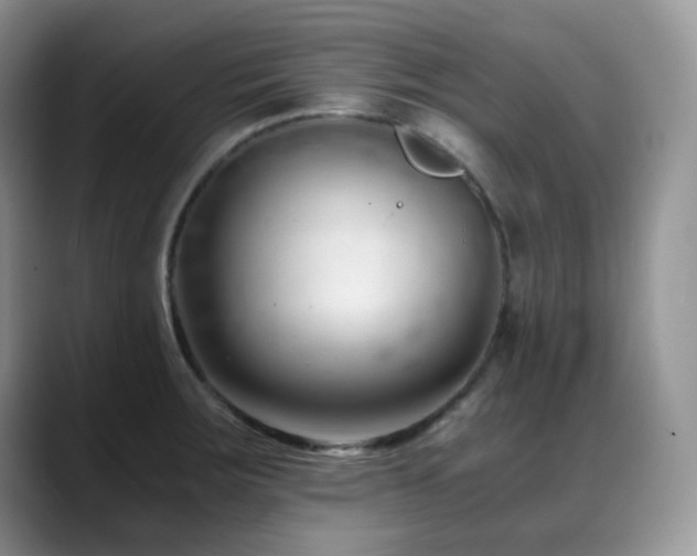 X0000088911283200706081335