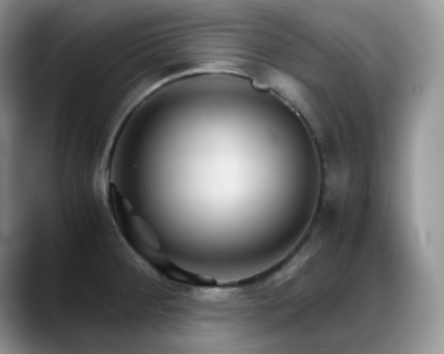 X0000088911284200706081335