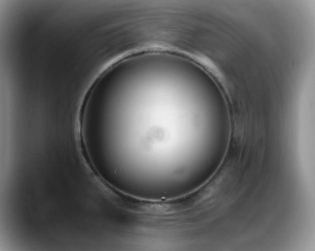 X0000088911287200706081335