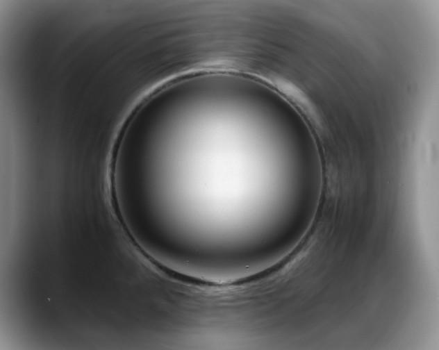 X0000088911288200706081335