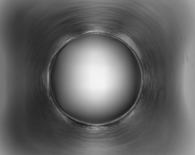 X0000088911290200706081335