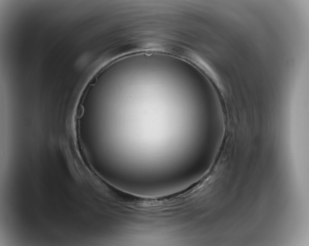 X0000088911291200706081335