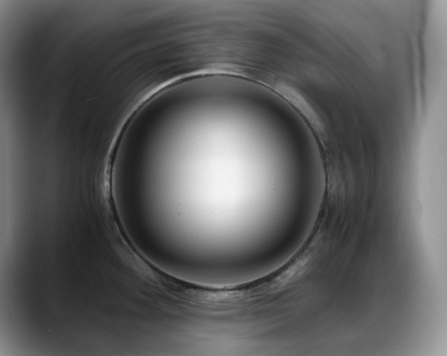 X0000088911292200706081335