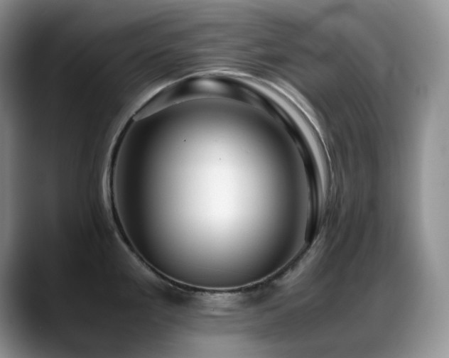 X0000088911293200706081335