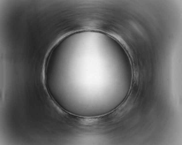 X0000088911294200706081335