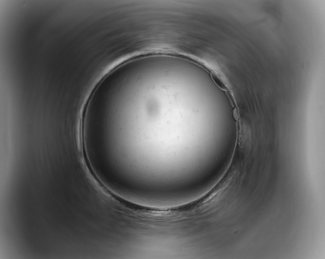 X0000088911295200706081335