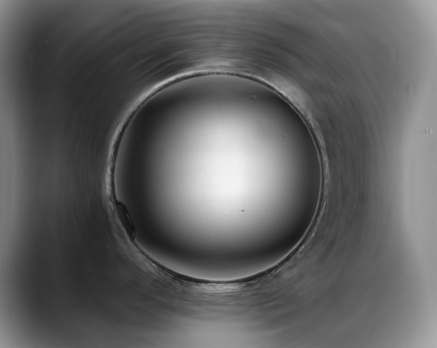 X0000088911296200706081335