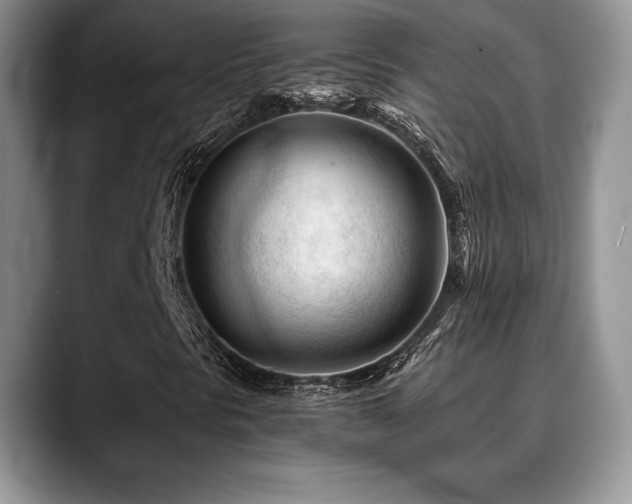 X0000088911297200706081334