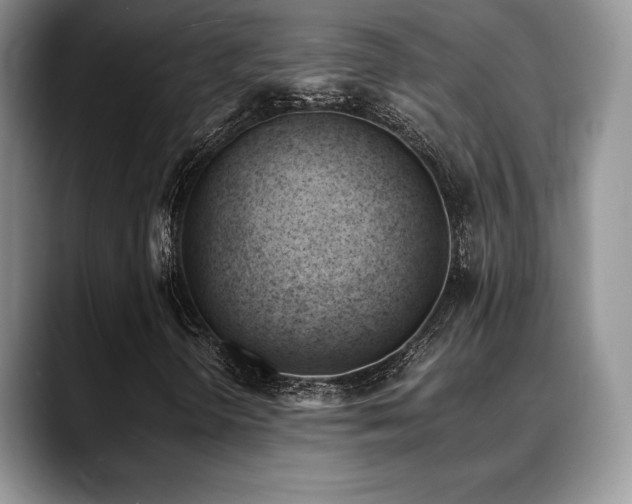 X0000088911298200706081334