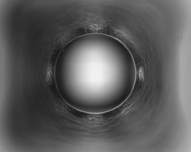 X0000088911299200706081334