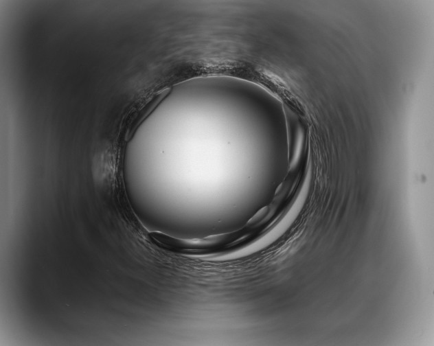 X0000088911300200706081334