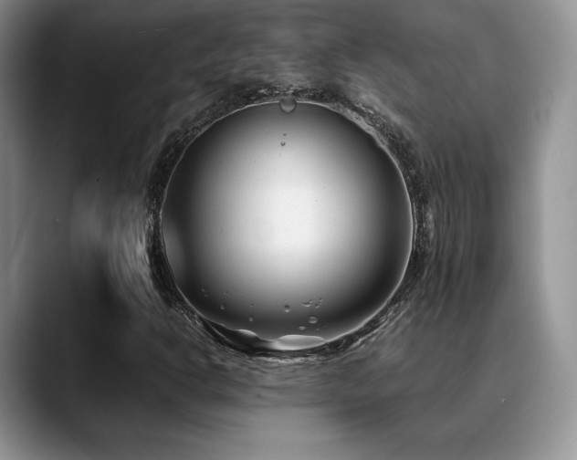 X0000088911302200706081334