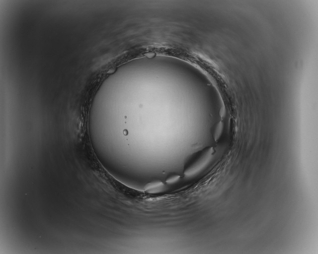 X0000088911303200706081334