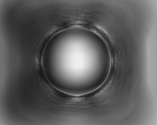 X0000088911305200706081334