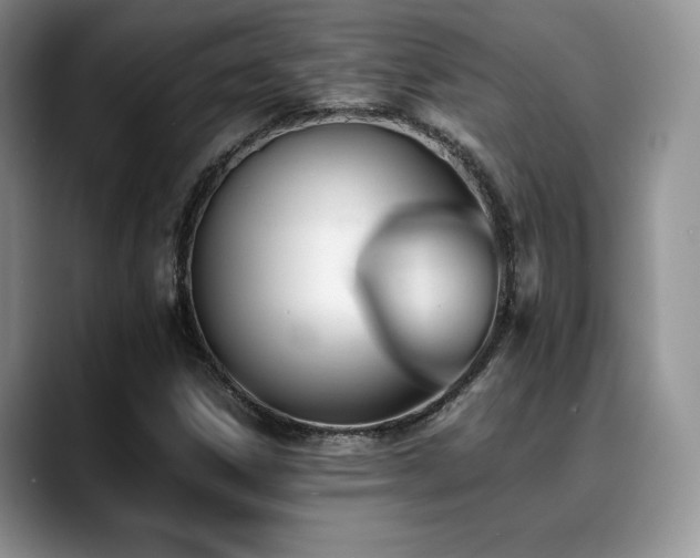 X0000088911306200706081334