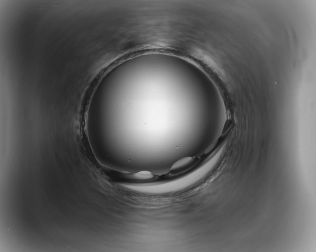 X0000088911308200706081334
