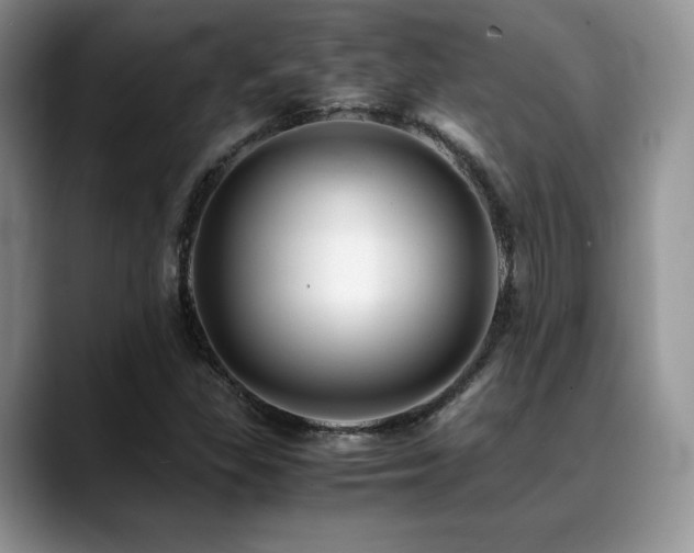 X0000088911309200706081334