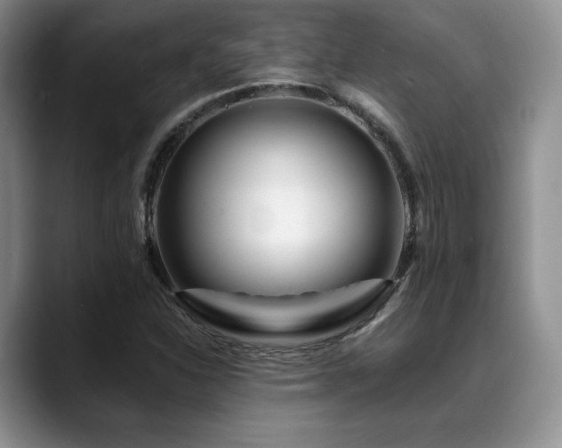 X0000088911310200706081334