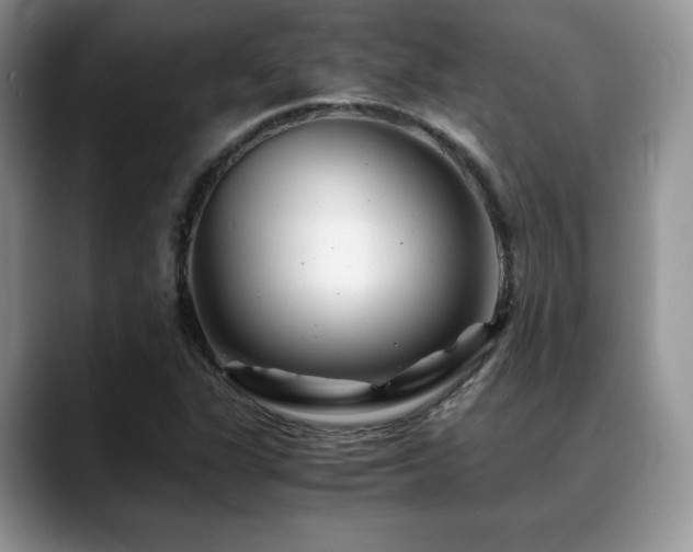 X0000088911311200706081334