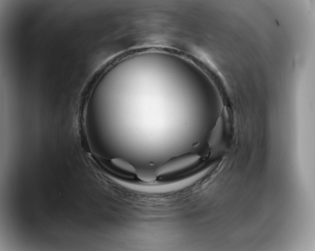 X0000088911312200706081334