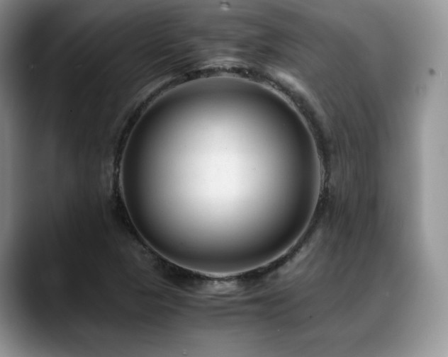 X0000088911313200706081334