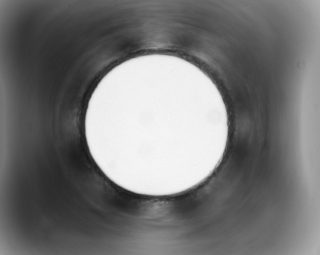 X0000088911314200706081334