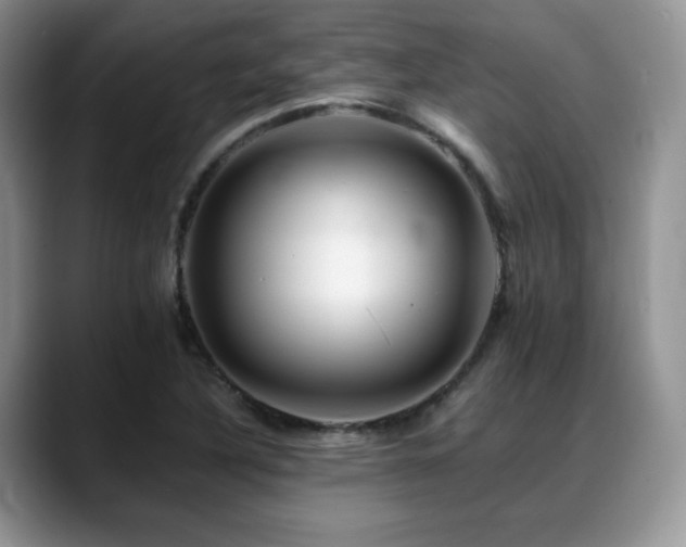 X0000088911316200706081334