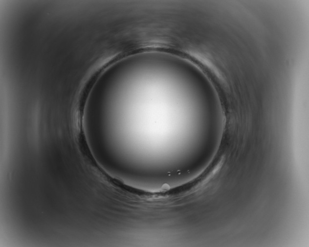 X0000088911317200706081334