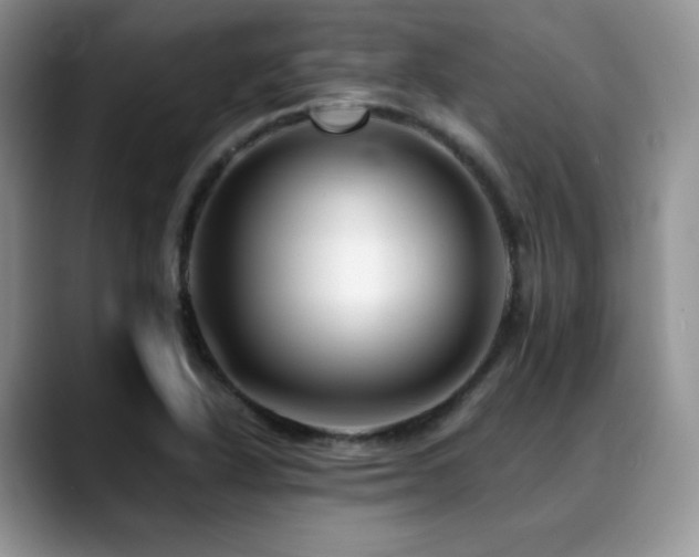 X0000088911318200706081334