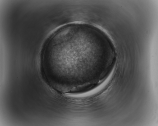 X0000088911319200706081334