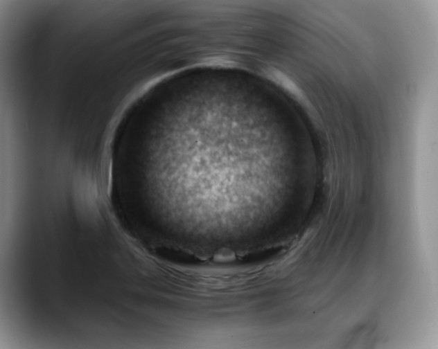 X0000088911323200706081334