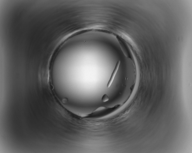 X0000088911324200706081334