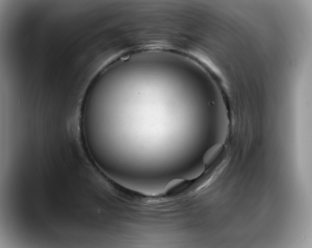 X0000088911325200706081334