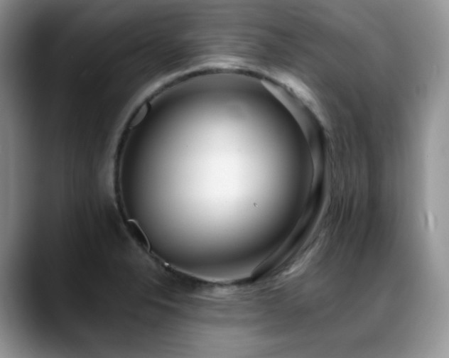 X0000088911326200706081334