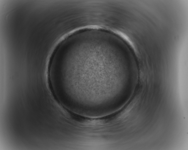 X0000088911327200706081334