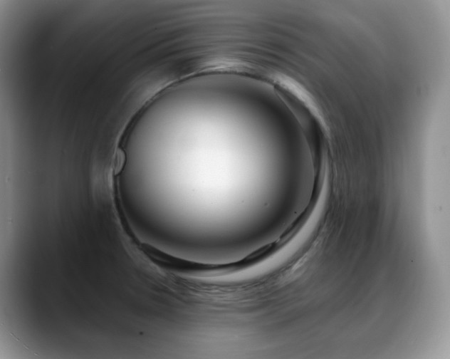 X0000088911330200706081334