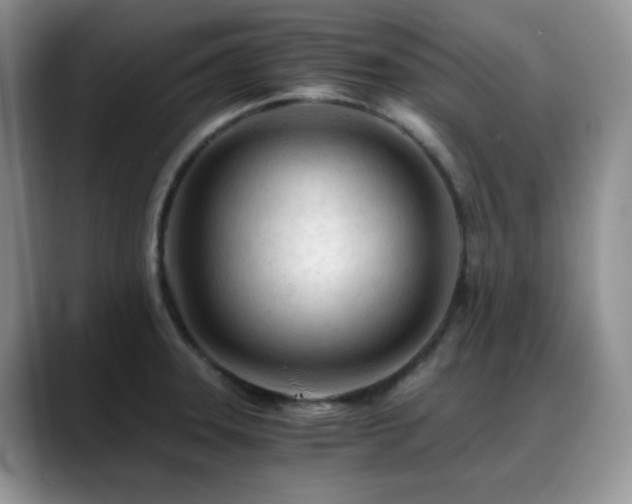 X0000088911331200706081334